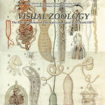 Visual ZoologyThe Pavia collection of Leuckart's zoological wall charts (1877)